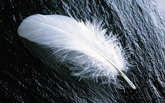sapne me feather dekhna